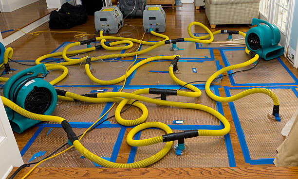 Professional Sewage Cleanup technician working in Sterling, MA